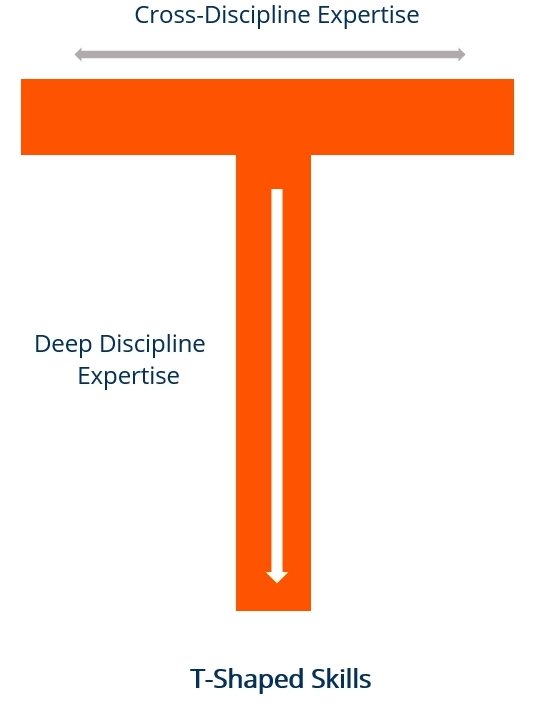 Letter T. Top horizontal part is the cross-discipline expertise. Vertical part is your deep discipline expertise.