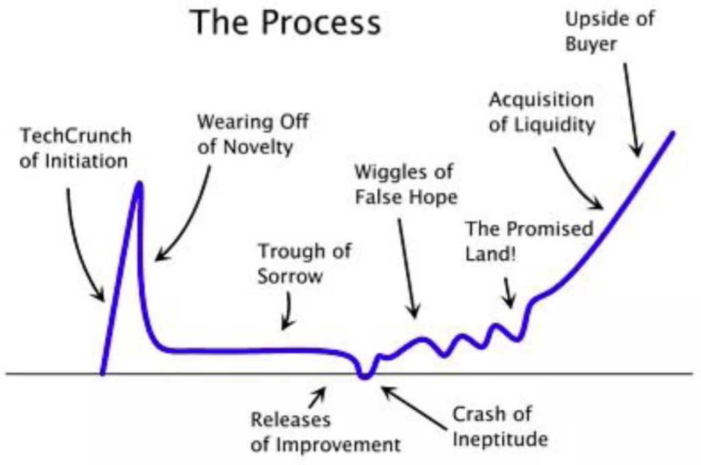 The process. Step 1 - Peak at Initiation. Fall to bottom. Long flat line to trough of sorrow. Slow bumpy ride up with false hope. Start slowly up to the promised land. Continue growth to acquisition of liquidity. Upside of Buyer.