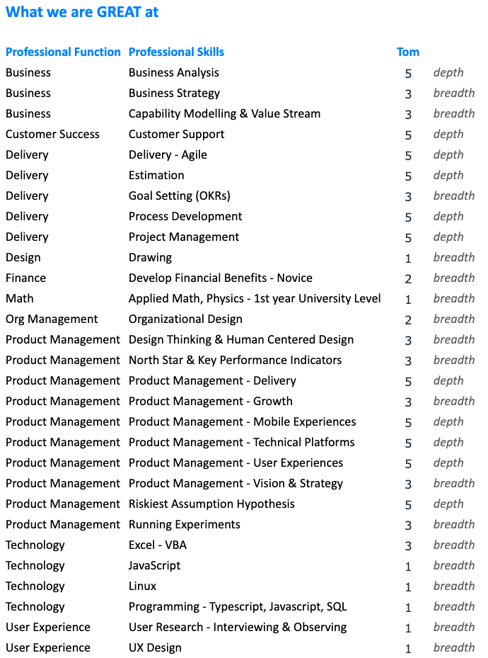 Table of my professional skills and the corresponding skill level